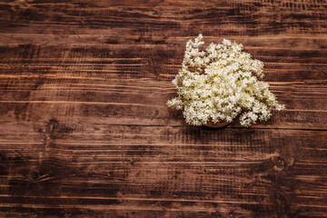 Fragrant bouquet of fresh elder flowers