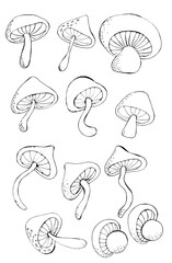 Set of outline mushrooms for design and creativity