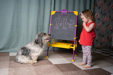 girl teaches a dog to solve math problems