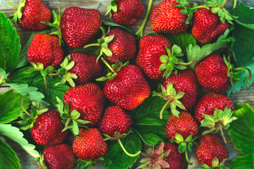 Background of large red strawberries with leaves, garden berries are evenly scattered throughout...