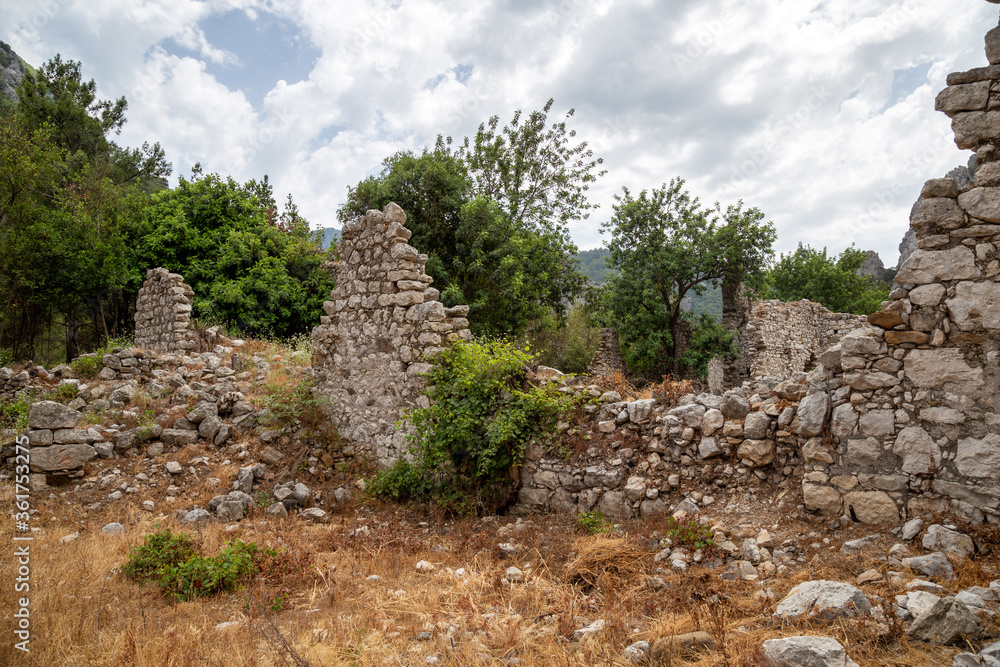 Wall mural ruins of the ancient city of olympos in cirali village in antalya, turkey