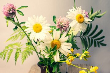 Summer field and meadow grasses and flowers.
