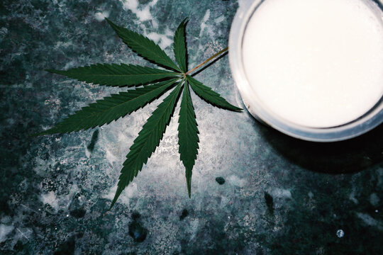 Cannabis leaf on a dark background and milk in defocus.