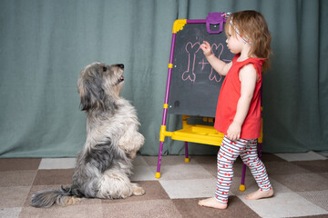 girl teaches a dog to solve math problems. The dog sits on its hind legs and listens to the teacher