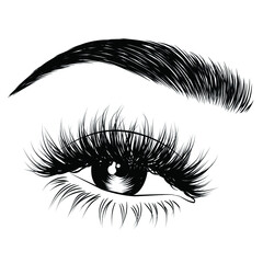 Sleek fashion illustration of the eye with luxe makeup and natural eyebrow. Hand drawn vector idea for business visit cards, templates, web, salon banners,brochures. Microblading visit card