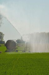 Arroseur agricole dans un champs de bl&eacute; en herbe FRANCE, Agricultural sprinkler in a grassy wheat field FRANCE