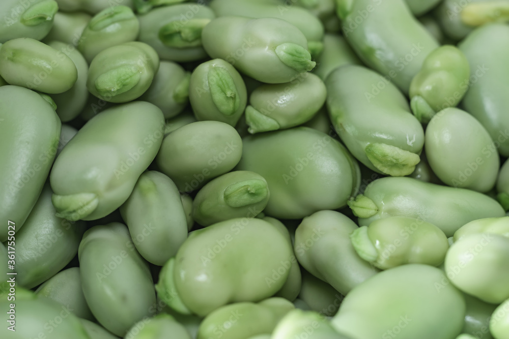 Poster Beautiful fresh geen broad beans pattern background texture for design. Macro photography view.