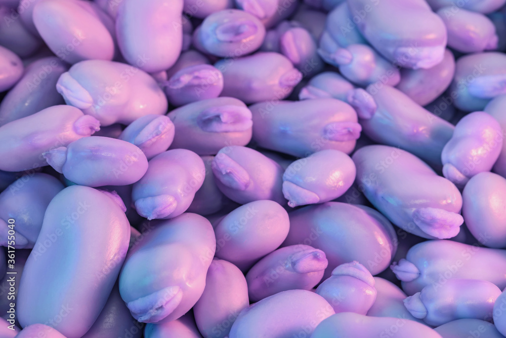 Poster Close up Beautiful broad bean f in neon light. Minimalism retro style concept. 80s. Background pattern for design. Macro photography view.