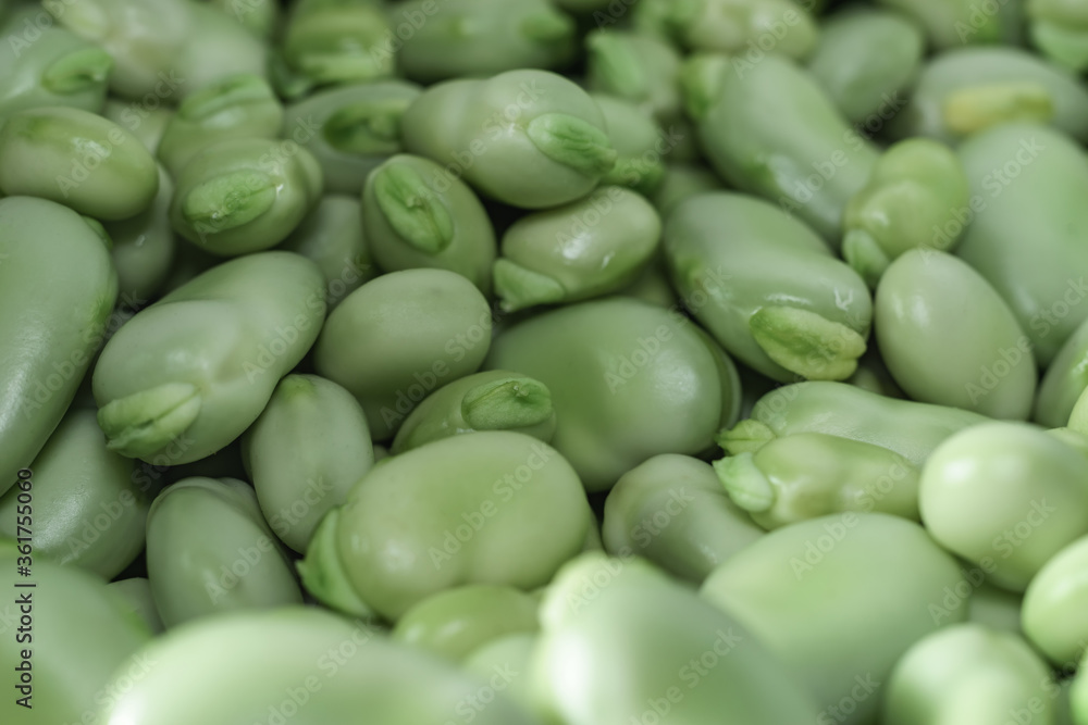 Poster Beautiful fresh geen broad beans pattern background texture for design. Macro photography view.