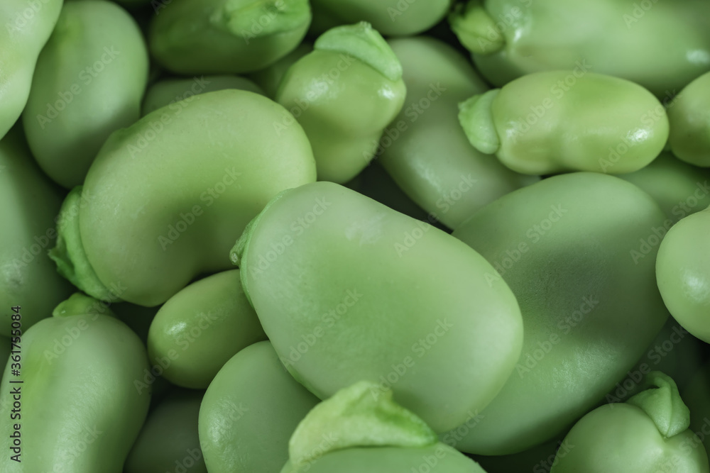 Poster Close up Beautiful fresh geen broad beans pattern background texture for design. Macro photography view.