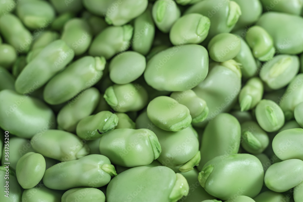Poster close up beautiful fresh geen broad beans pattern background texture for design.