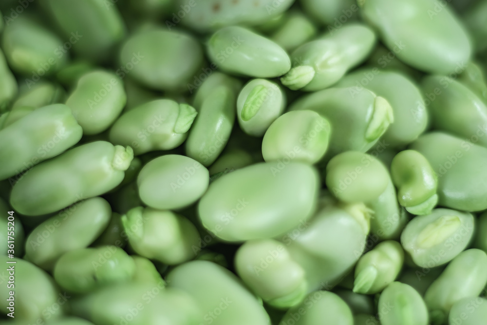 Aufkleber close up beautiful fresh geen broad beans pattern background texture for design.