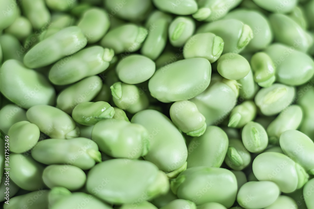 Aufkleber close up beautiful fresh geen broad beans pattern background texture for design.