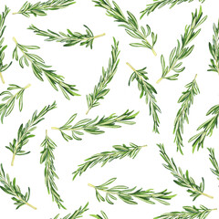 Seamless pattern with green rosemary branches on white background. Hand drawn watercolor illustration.