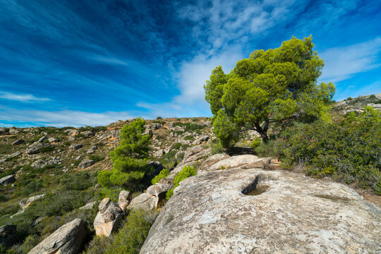 Tumbas del Saladar, Valle del Set, El Cogul, Les Garrigues, Lleida, Catalunya, Spain