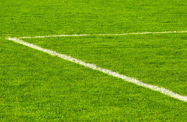 Obraz premium pelouse de football, campo de futbol, football pitch