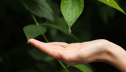 a drop of water falls into the palm of your hand