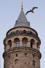 Fototapeta na wymiar Seagull fly over the famous Galata Tower illuminated by the early morning sunlight during the beginning of summer season in Istanbul, Turkey.