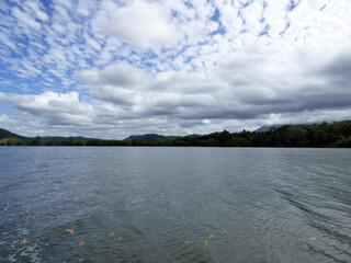 Australia, Daintree National Park, Daintree river, Boat trip on the river