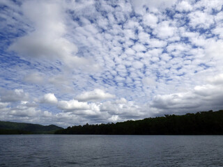 Australia, Daintree National Park, Daintree river, Boat trip on the river