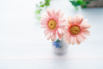 木製テーブルの上に置かれたガーベラの花