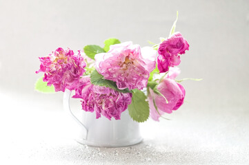 Postcard pink roses in a vase, selective focus