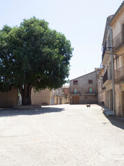 Castellnou d'Oluges, Cervera, Segarra, Lérida, Lleida