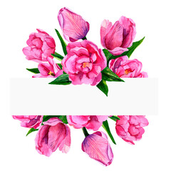 Watercolor frame of pink tulips. For the design of cards, posters, invitations. Flowers are isolated on a white background.