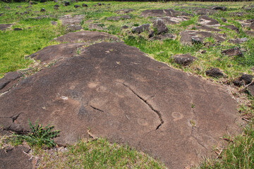 Rapa Nui. Petroglyphs on Easter Island, Chile
