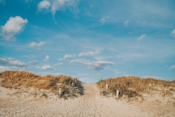 Nordseestrand in Blåvand in Dänemark