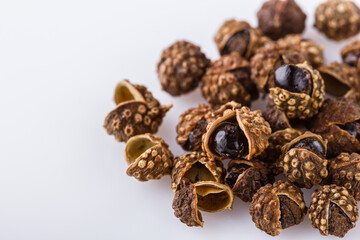 fragrant Sichuan pepper on white acrylic background