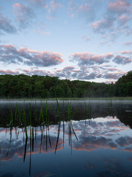 A morning reflection in a small pond in the Bearsden Conservation Area in Athol Massachusettss