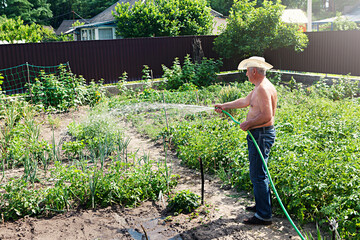 Elderly man is watering his garden. Concept of drought, household, retirement hobby.