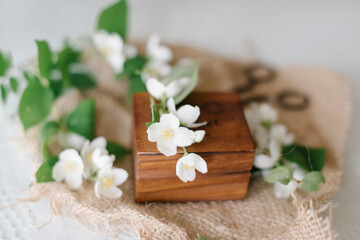 Fototapeta na wymiar White blossom jasmine with old scissors and wood box