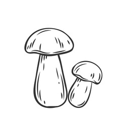 Edible mushrooms boletus outline icon