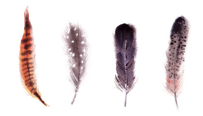 Hand drawn watercolor feathers set