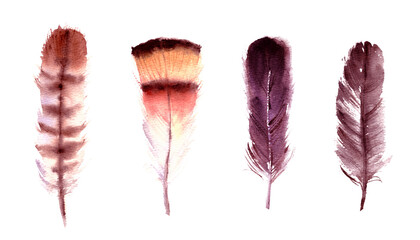 Hand drawn watercolor feathers set