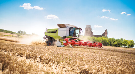 during a beautiful sunny summer day, the combine harvests wheat in the field. Modern combine harvester in the field.