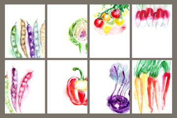 Obraz premium Colorful summer vegetable drawings