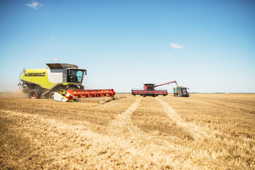Against the backdrop of a sunny summer day and blue sky with clouds. Combine harvester harvesting...