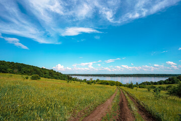 Agricultural scenic field of green herbaceous plants and wild flowers. Dirt road and dirt road, river and forest in the distance on the background of a blue sky with clouds