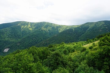 Mala Fatra mountains panorama in summer, Slovakia