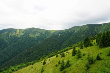 Naklejka premium Mala Fatra mountains panorama in summer, Slovakia