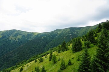 Fototapeta premium Mala Fatra mountains panorama in summer, Slovakia