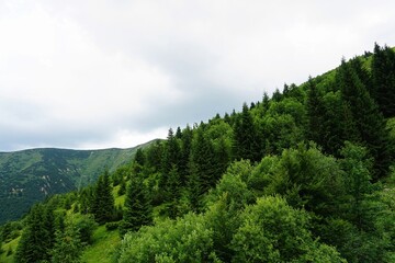 Mala Fatra mountains panorama in summer, Slovakia