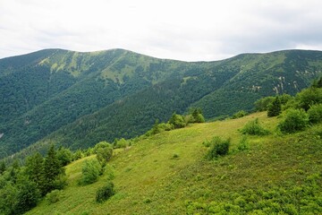 Fototapeta na wymiar Mala Fatra mountains panorama in summer, Slovakia