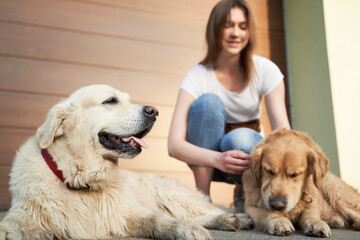 Woman in blue jeans next to two dogs on street in afternoon