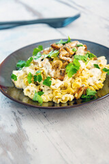 fusilli kebab chicken with white sauce