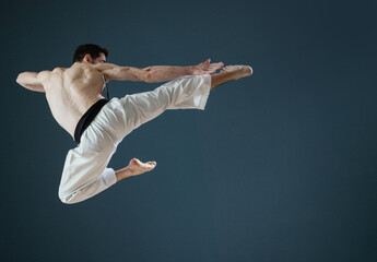 Karateka Sensei at work © StockPhotoPro