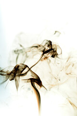 Smoke toxic movement on a white background.